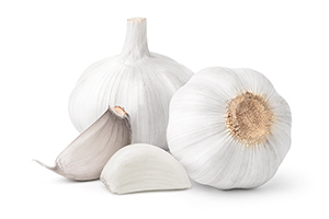 Garlic